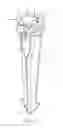 Fig. 19 - Radially adjustable landscape light fixture mount