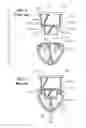 Fig. 03 - Connector system for lighting assembly