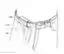 Fig. 01 - Inside waistband concealed carrier