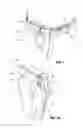 Fig. 02 - Inside waistband concealed carrier