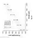 Fig. 05 - Multi-parameter sensing based on few-mode fiber Bragg gratings using femtosecond IR laser