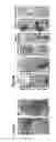 Fig. 08 - Whole-body tissue stabilization and selective extractions via tissue-hydrogel hybrids for high resolution intact circuit mapping and phenotyping