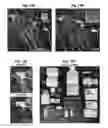 Fig. 15 - Whole-body tissue stabilization and selective extractions via tissue-hydrogel hybrids for high resolution intact circuit mapping and phenotyping