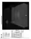 Fig. 19 - Whole-body tissue stabilization and selective extractions via tissue-hydrogel hybrids for high resolution intact circuit mapping and phenotyping