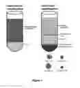 Fig. 07 - Process for Isolating a Purified Cell Population Isolated from Whole Blood