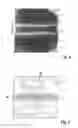 Fig. 03 - Method and apparatus for determining a barrier effect of a coating on a substrate