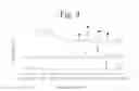 Fig. 04 - DETECTION METHOD OF HEAVY METAL IONS AND SENSOR USING THE SAME
