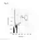 Fig. 07 - Inverse Photoelectron Spectroscopy Device