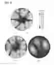 Fig. 12 - Imaging using reconfigurable antennas
