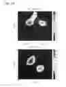 Fig. 17 - Imaging using reconfigurable antennas
