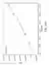 Fig. 18 - Methods for determining relative response factors for impurity analysis using liquid chromatography with absorbance and evaporative light scattering detection