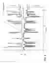 Fig. 05 - Ion chromatography system and methods utilizing a weak acid or weak base extraction device