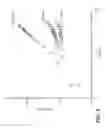 Fig. 06 - Ion chromatography system and methods utilizing a weak acid or weak base extraction device