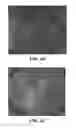Fig. 11 - Microfluidic device and method for analysis of tumor cell microenvironments