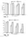 Fig. 12 - Microfluidic device and method for analysis of tumor cell microenvironments