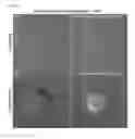 Fig. 05 - Use of phosphatidylinositol phosphate-binding material for apoptosis detection