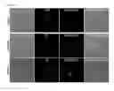 Fig. 07 - Use of phosphatidylinositol phosphate-binding material for apoptosis detection
