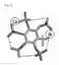 Fig. 11 - Use of phosphatidylinositol phosphate-binding material for apoptosis detection