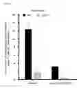 Fig. 19 - Use of phosphatidylinositol phosphate-binding material for apoptosis detection