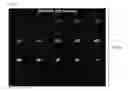 Fig. 23 - Use of phosphatidylinositol phosphate-binding material for apoptosis detection