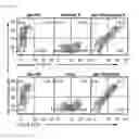 Fig. 27 - Use of phosphatidylinositol phosphate-binding material for apoptosis detection
