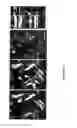 Fig. 07 - DEVICE AND METHOD FOR ASSESSING CELL CONTRACTION