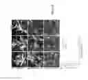 Fig. 09 - DEVICE AND METHOD FOR ASSESSING CELL CONTRACTION