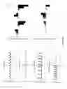 Fig. 29 - DEVICE AND METHOD FOR ASSESSING CELL CONTRACTION