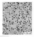 Fig. 01 - PD-IR NANOPARTICLES USED AS PEROXIDASE MIMICS