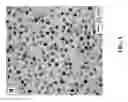 Fig. 04 - PD-IR NANOPARTICLES USED AS PEROXIDASE MIMICS