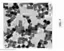 Fig. 06 - PD-IR NANOPARTICLES USED AS PEROXIDASE MIMICS