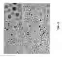 Fig. 09 - PD-IR NANOPARTICLES USED AS PEROXIDASE MIMICS