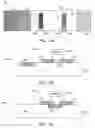 Fig. 08 - Methods and systems for calibrating illumination source of diagnostic test system