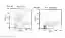 Fig. 03 - Methods of selecting retinal pigmented epithelial cells