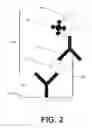 Fig. 03 - Universal capture array for multiplexed subtype-specific quantification and stability determination of influenza proteins