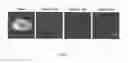 Fig. 04 - MULTI-PHENOTYPIC SUBTYPING OF BIOLOGICAL SAMPLES USING SEQUENTIAL FLUORESCENT QUENCHING AND RESTAINING