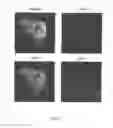 Fig. 08 - MULTI-PHENOTYPIC SUBTYPING OF BIOLOGICAL SAMPLES USING SEQUENTIAL FLUORESCENT QUENCHING AND RESTAINING