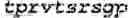 Fig. 05 - Surrogates of post-translationally modified proteins and uses thereof