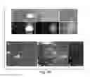 Fig. 15 - Surrogates of post-translationally modified proteins and uses thereof