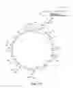 Fig. 16 - Surrogates of post-translationally modified proteins and uses thereof
