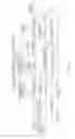 Fig. 07 - High speed adaptive-multi-loop mode imaging atomic force microscopy
