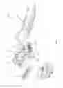 Fig. 03 - Radioactive material assaying