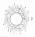 Fig. 05 - Acoustic calipering and analysis of annulus materials