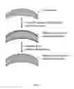 Fig. 02 - OPTICALLY CLEAR BIOCOMPATIBLE AND DURABLE HYDROPHILIC COATING PROCESS FOR CONTACT LENSES