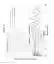 Fig. 25 - Low contrast anti-reflection articles with reduced scratch and fingerprint visibility