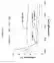 Fig. 37 - Low contrast anti-reflection articles with reduced scratch and fingerprint visibility