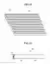 Fig. 12 - Optical component including a high-relative-refractive-index-index-difference optical fiber a single-mode optical fiber an optical device and a fixing member to fix a relative opsition