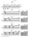 Fig. 06 - Optical module and method for manufacturing optical module