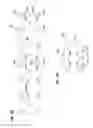 Fig. 19 - Splice-on cable breakout assembly