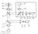 Fig. 01 - Method for autofocusing a microscope at a correct autofocus position in a sample